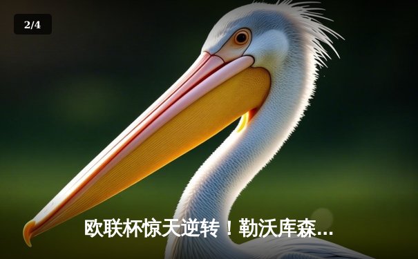 欧联杯惊天逆转！勒沃库森补时绝平延续不败神话，赛季49场不败刷新纪录 - 2